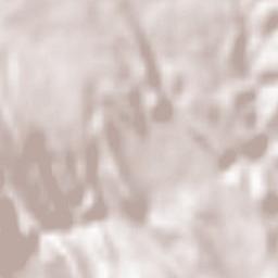 Embid de Ariza Terrain Map