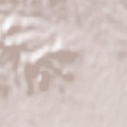 Puebla de Albortón Terrain Map