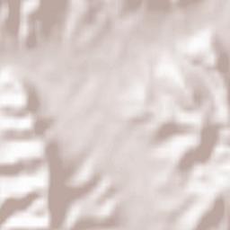 Bashkia Vorë Terrain Map