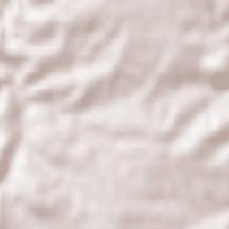 Arenillas Terrain Map