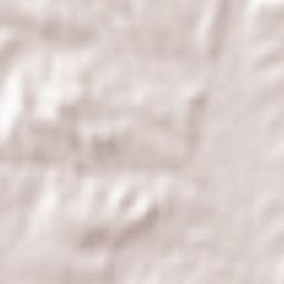 Monteagudo de las Vicarías Terrain Map