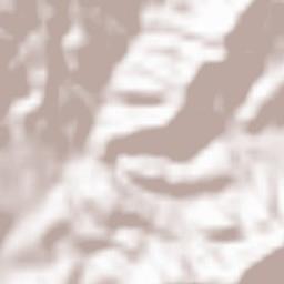 Olesa de Bonesvalls Terrain Map