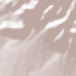 Raviscanina Terrain Map