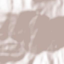 Foiano di Val Fortore Terrain Map