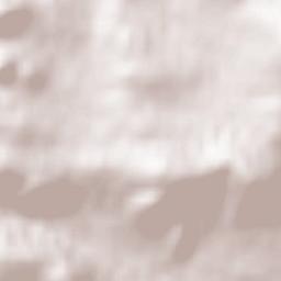 Dmanisis Munitsip’alit’et’i Terrain Map