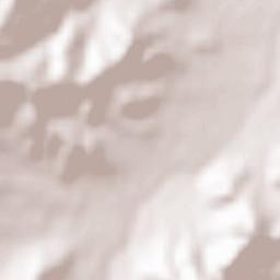 Naghvarevi Terrain Map