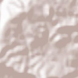 Vila Flor Terrain Map