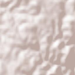 Alfândega da Fé Terrain Map