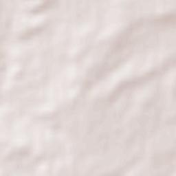 San Miguel de la Ribera Terrain Map