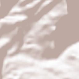 Rrethi i Tiranës Terrain Map