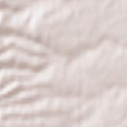 Santa Lucia Terrain Map