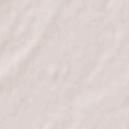 Nueva Villa de las Torres Terrain Map