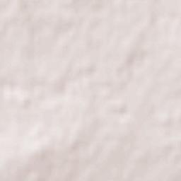 Zarzuela del Pinar Terrain Map