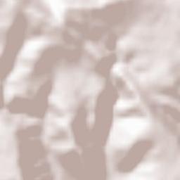 Somolinos Terrain Map