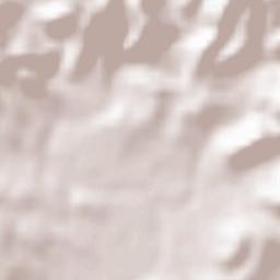 Sant Pere de Ribes Terrain Map