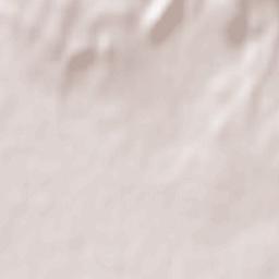 Charopó Terrain Map