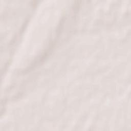 Tashkent Terrain Map