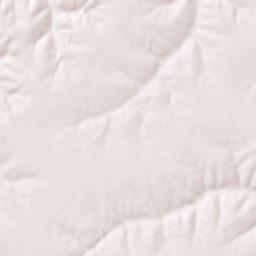 Melcher-Dallas Terrain Map