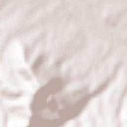 Bagratashen Terrain Map