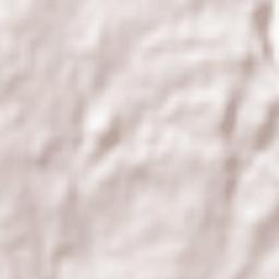 Baguim do Monte Terrain Map