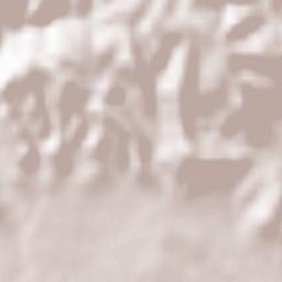 Roda de Barà Terrain Map