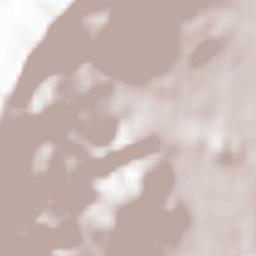 Casanova Terrain Map