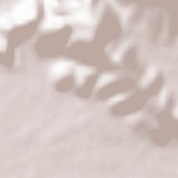 Pignataro Maggiore Terrain Map