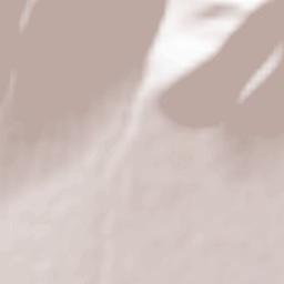 Petroússa Terrain Map