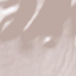 Xiropótamos Terrain Map