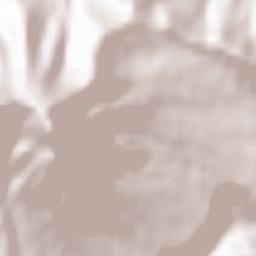 Chochkan Terrain Map