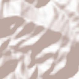 Ervedosa do Douro Terrain Map