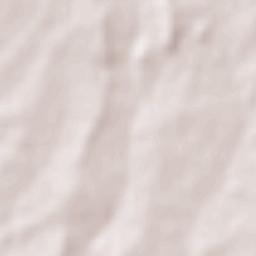 Palacios del Arzobispo Terrain Map