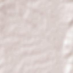 Valdelosa Terrain Map