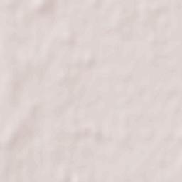 San Pablo de la Moraleja Terrain Map