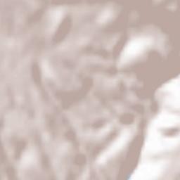 Gascueña de Bornova Terrain Map