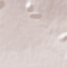 Kargı İlçesi Terrain Map