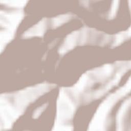 Tekkeköy Terrain Map