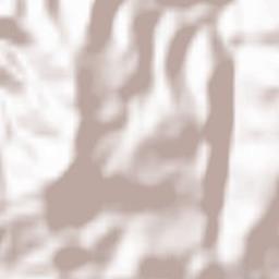 Custoias Terrain Map