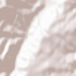 Vila Nova de Foz Côa Terrain Map