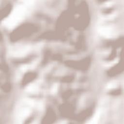 Santiuste Terrain Map