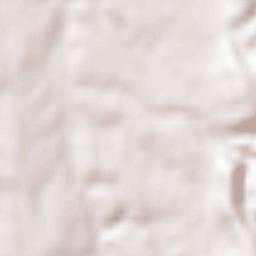 Minervino Murge Terrain Map