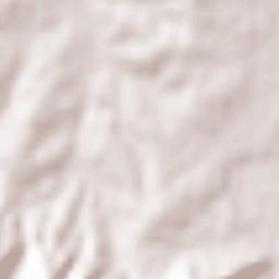 Salıpazarı İlçesi Terrain Map