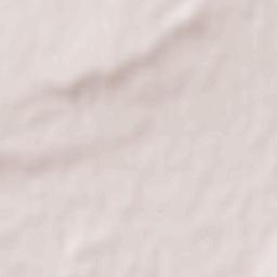 Cantalpino Terrain Map