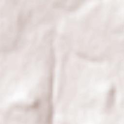 Gallegos Terrain Map