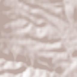 Semillas Terrain Map