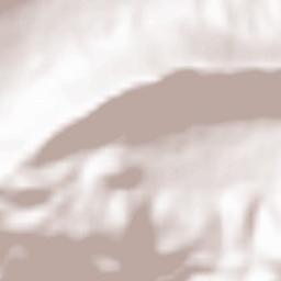 Durazzano Terrain Map