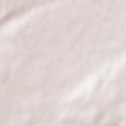 Monterrubio de Armuña Terrain Map