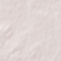 Castellanos de Moriscos Terrain Map