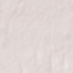 Valenzano Terrain Map