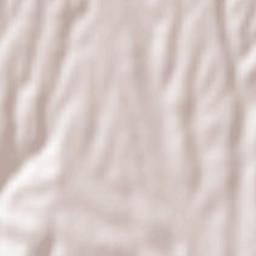 Néa Zíchni Terrain Map